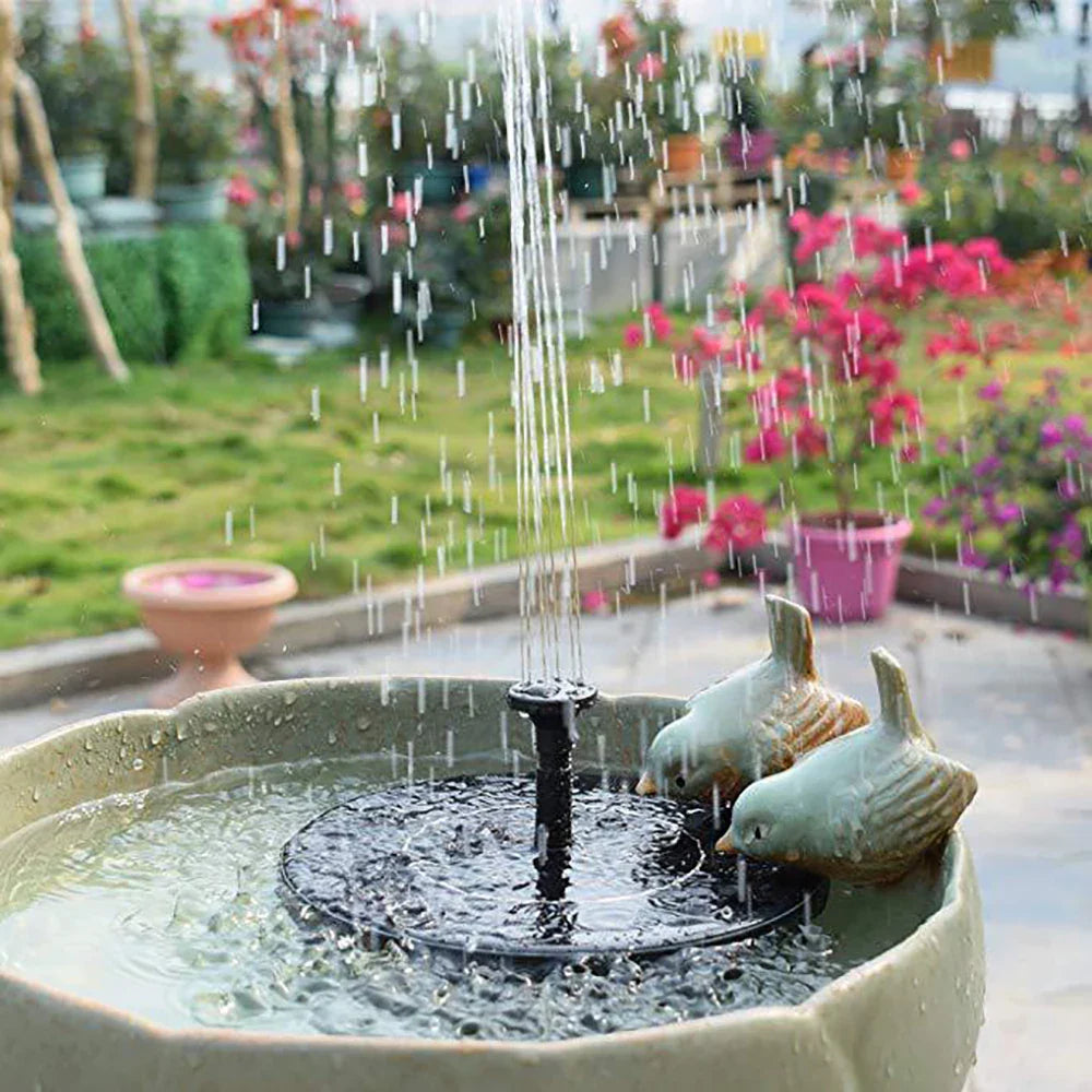 SolarSplash | Maak van je tuin een vogelparadijs