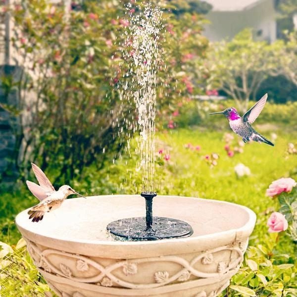 SolarSplash | Maak van je tuin een vogelparadijs
